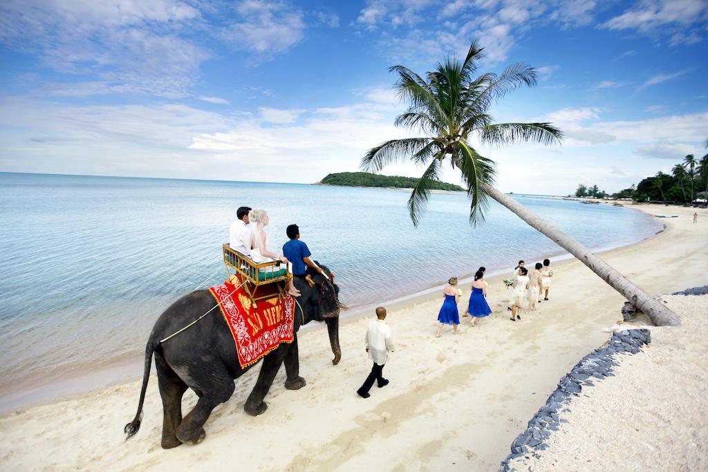 Nora Buri Resort&spa - Sha Extra 5* Chaweng (Koh Samui)